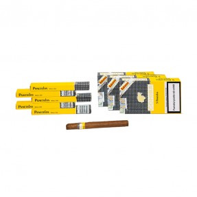 Trabuc Cohiba Panetelas - 5 Buc